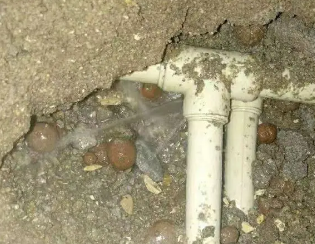 察哈尔右翼前卫生间测漏